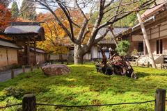 苔庭(常照皇寺)