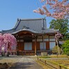 春がいっぱい(上品蓮台寺2018)