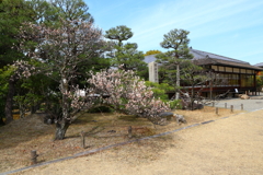 渉成園-6