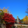 Korea紀行(釜山梵魚寺の紅葉)