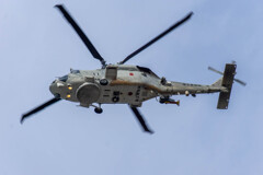 SH-60