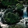 御岳山の清流