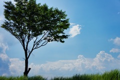 山中湖パノラマ台からの夏の空