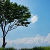 山中湖パノラマ台からの夏の空