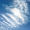 皐月の青空