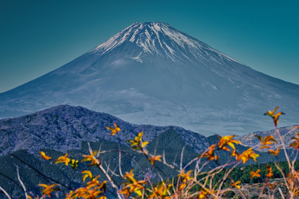 スカイラウンジからの富士山