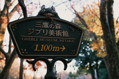 ジブリへの案内