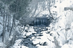 雪の道志川