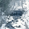 雪の道志川