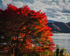 河口湖の紅葉