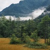 早朝の田代湿原