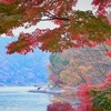 河口湖と湖北ロードの紅葉