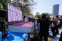 アイドルを探せ