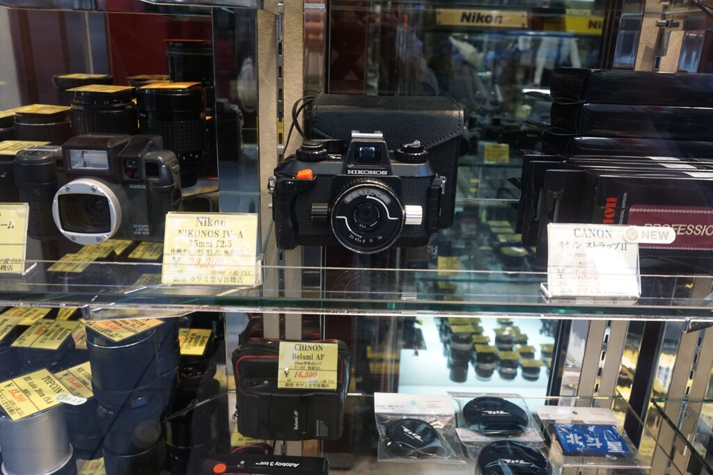 写真は楽しい