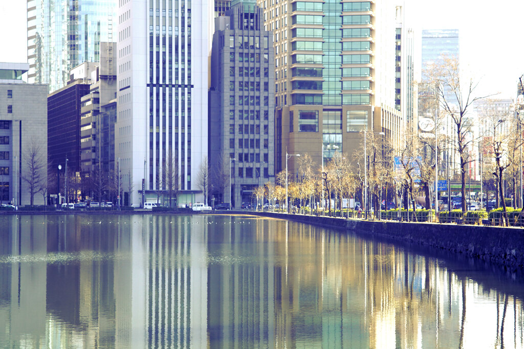 季節の中の一枚