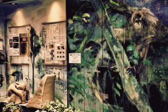 街のＥｖｅｎｔ