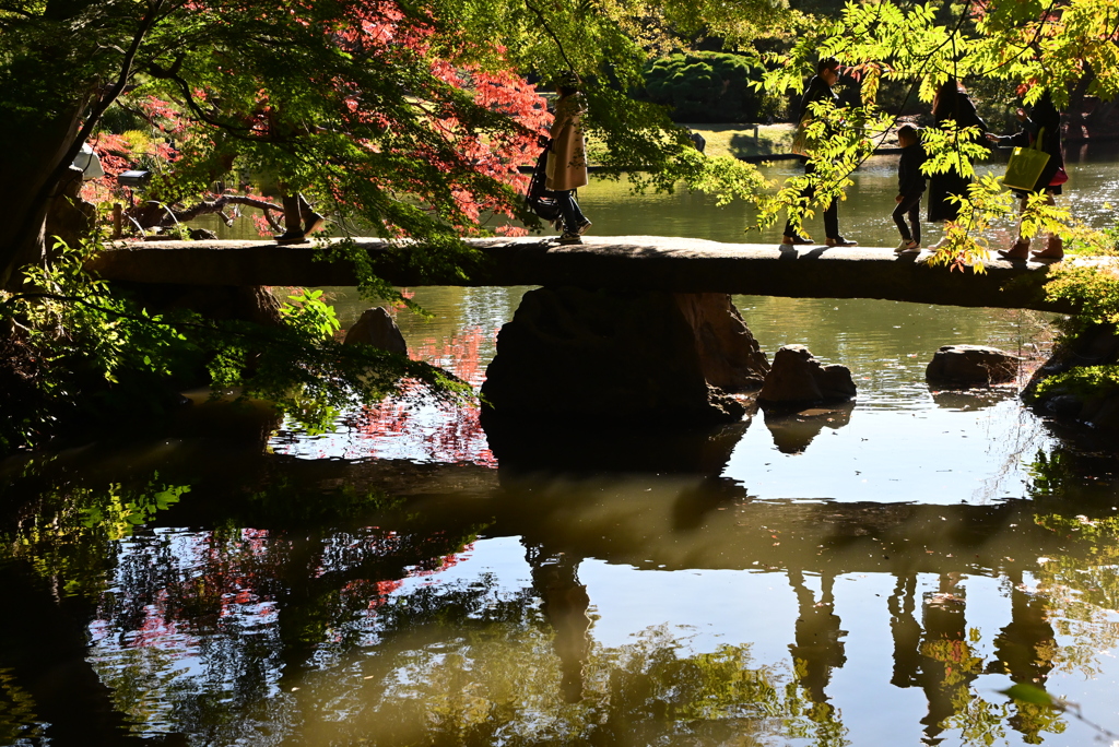 紅葉には未だ早い