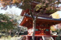 秋深し