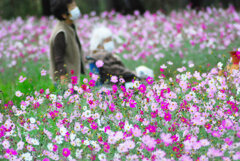人の情けは花より美しい