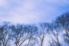 冬空