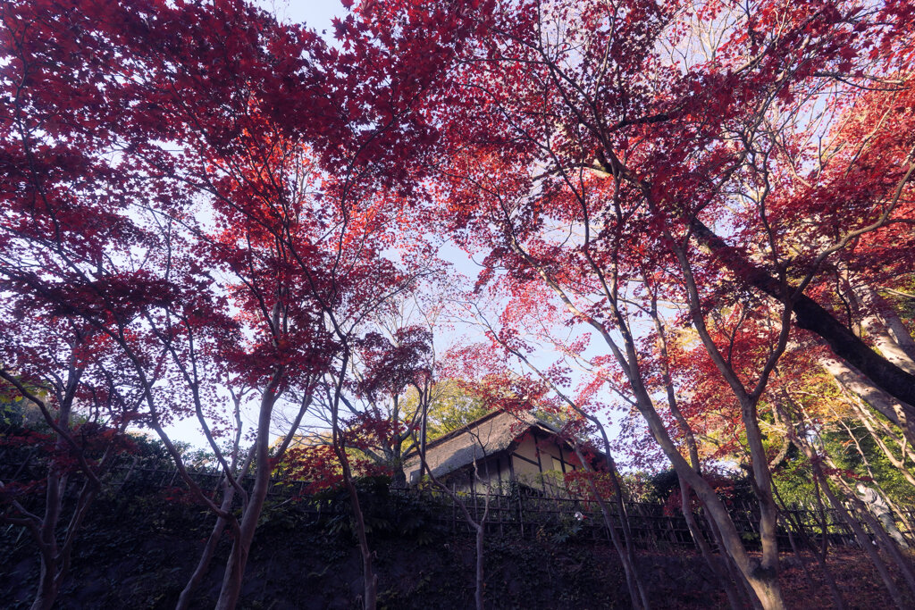 季節は巡る