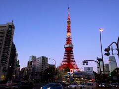 夕暮れタワー