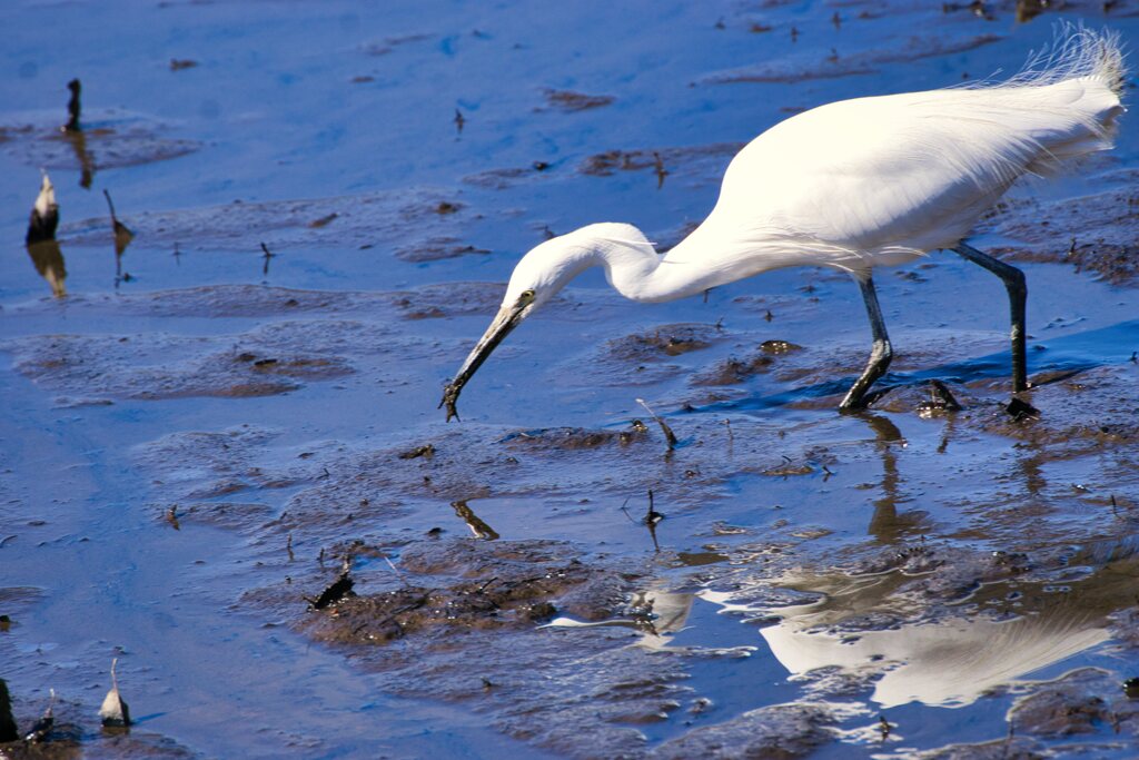 美味しいごはん