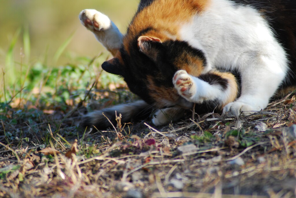 今日もヒマだな