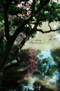 つつじの咲くころ