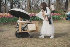 花も犬も