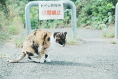 こらこらそこでするな