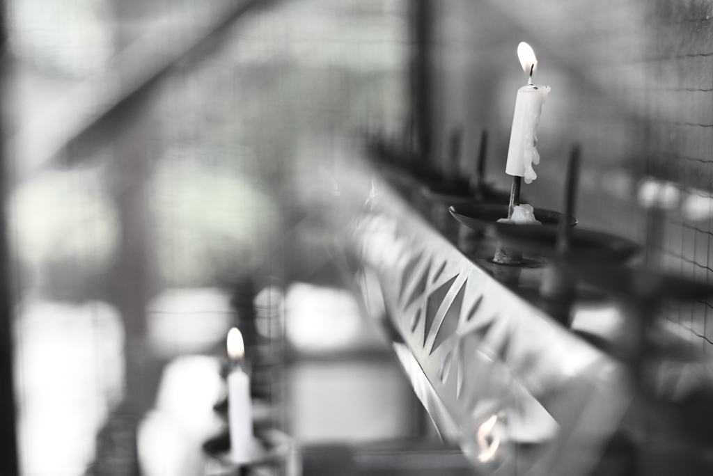 Zf＋takumar 50mm f1.4