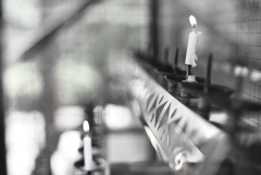 Zf＋takumar 50mm f1.4