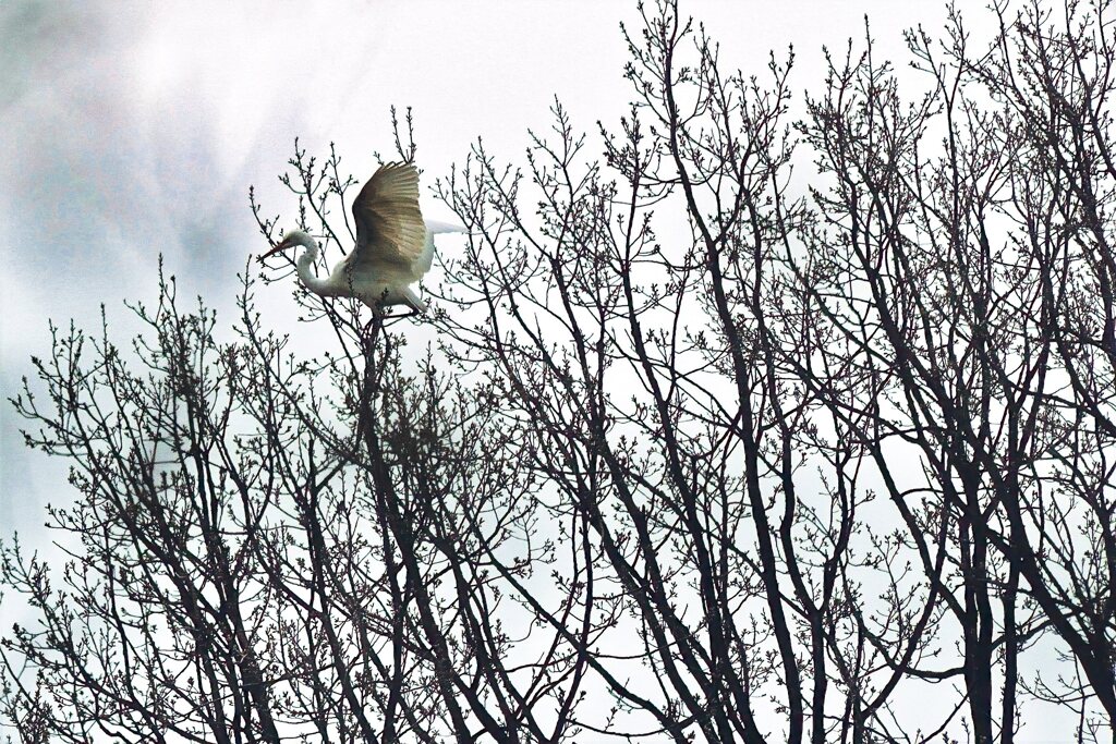 寒空に・・・・・・。