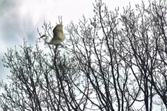 寒空に・・・・・・。