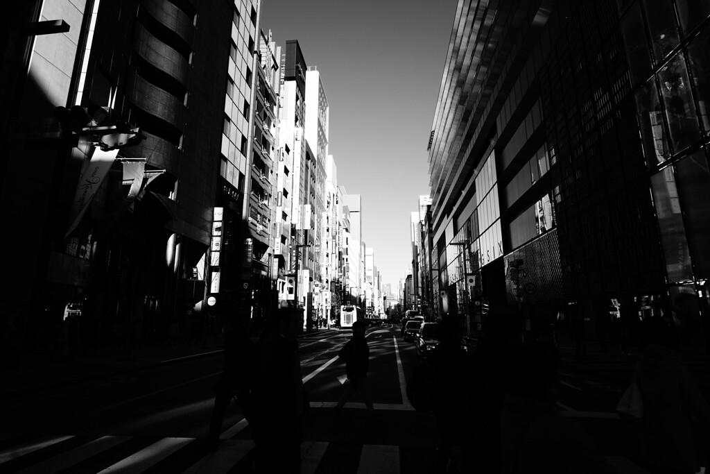 光と影の街