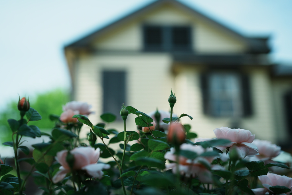 バラの館