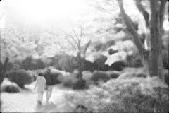 晴れた日は公園へ