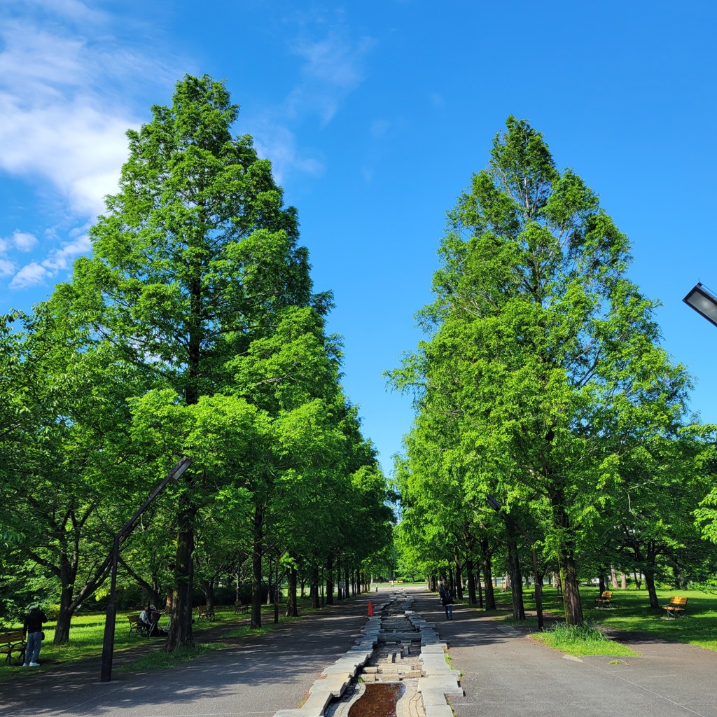 舎人公園