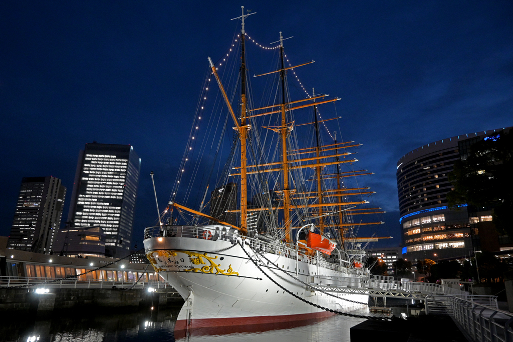 Sakuragicho area, Nippon maru