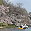 井の頭公園