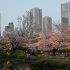 毛利庭園（六本木ヒルズ）