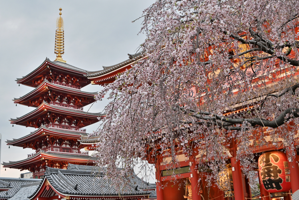 浅草寺