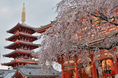 浅草寺