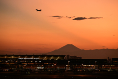 ANA JA78AN, Boeing 737-881 at HND