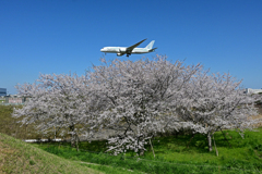 ひこうきの丘