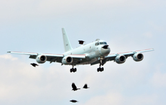 JMSDF 5502, Kawasaki XP-1 at NJA