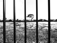 R0012141
