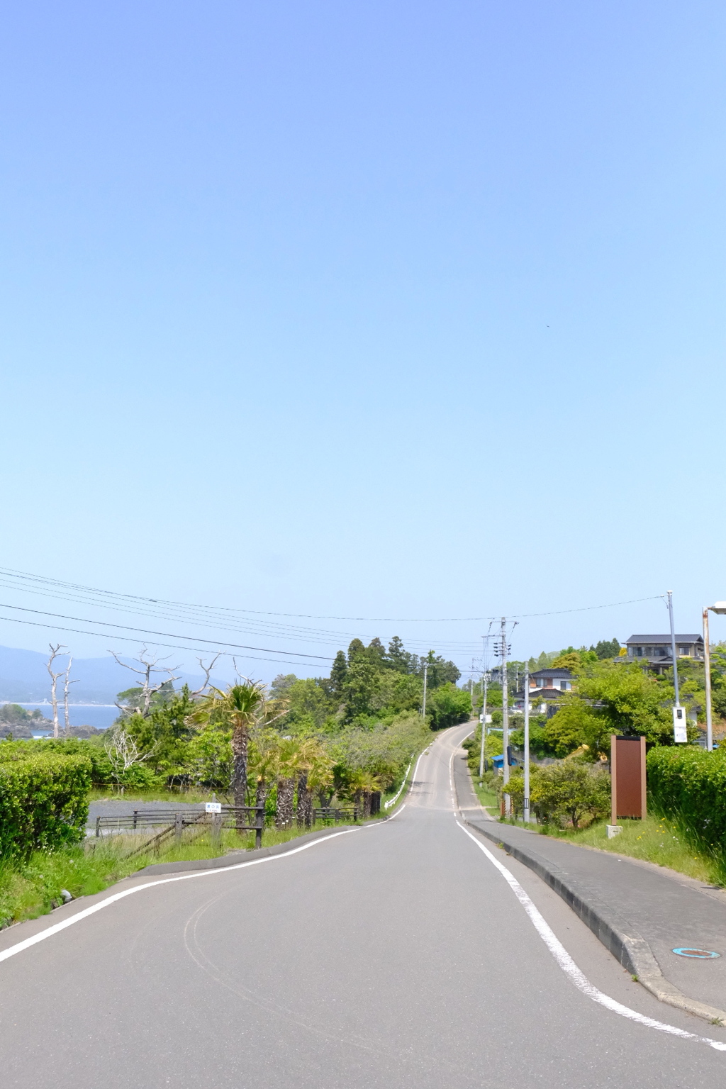 9310F99B-2BA2-4515-82A9-2D4CC7D5497C-157