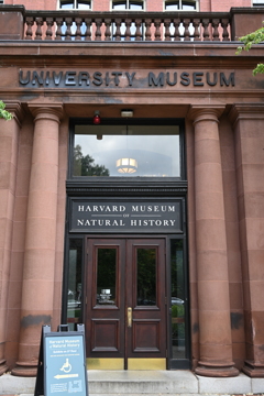 Museum of Natural History(自然史博物館)